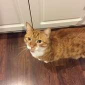 User avatar for Logan Altiere