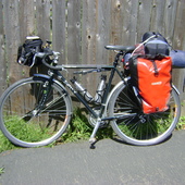 User avatar for Lorelei Draper