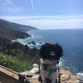 User avatar for Emily Beaulac