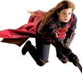 User avatar for Ginny Weasley Husby