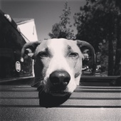 User avatar for christina maas