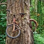 User avatar for Lyna Gravel