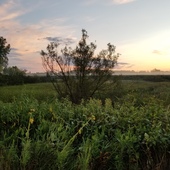 User avatar for Dan Wenzel