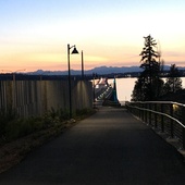 User avatar for Bill Farmer