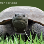 User avatar for David Pollard