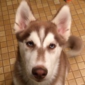 User avatar for Jane Taylor