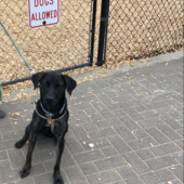 User avatar for Zoe Keve