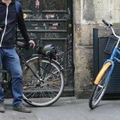 User avatar for Bobby Lachiansa