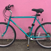 User avatar for Danielle Ogden