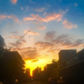 User avatar for Alejandro Aguilar