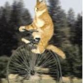 User avatar for Linzey Linzey