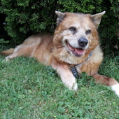 User avatar for Mary Wyllie