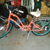 User avatar for Susan Coyle