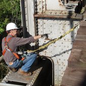 User avatar for Tom Whiteman