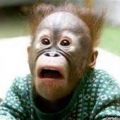 User avatar for Nathan Simunds