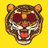 User avatar for Holy Sh*T It's F*cking Tomcat   And He is Crushing It!