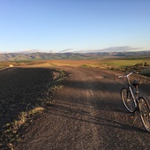 User avatar for Teddi Armstrong