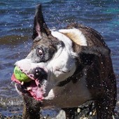 User avatar for Patrick Cooper