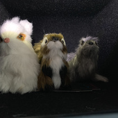 User avatar for Todd  Heckel