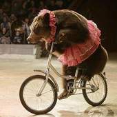 User avatar for Mark Ely