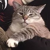 User avatar for Karissa Anne