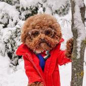 User avatar for Aaron Diggins