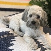 User avatar for Clinton Lee