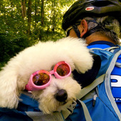 User avatar for Steve Hall