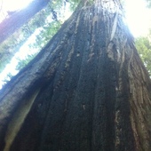 User avatar for Kelly Dawn