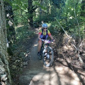 User avatar for Fanny Hollingshead