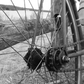 User avatar for Greg Popp