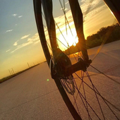 User avatar for Brian Shephard