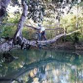 User avatar for Eddie Allas