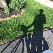 User avatar for Christine Saladino