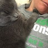 User avatar for Calista Phillips