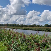 User avatar for Uipko Berghuis