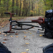 User avatar for Zachary Shaner