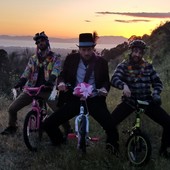 User avatar for Walker Johnson