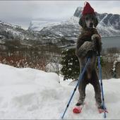 User avatar for Anthony Olson