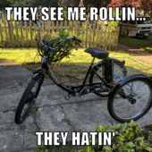 User avatar for Tracy Stewart