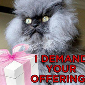 User avatar for Alison Gates