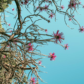 User avatar for Nathan Long