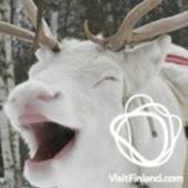 User avatar for Alison Brown