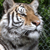 User avatar for Cliff Gionet