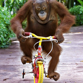 User avatar for Simon Douwes