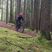 User avatar for Phaedra Booth