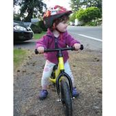 User avatar for Chris Brummer