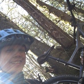 User avatar for Sandra Kelley