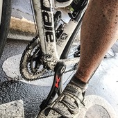 User avatar for Lara Mc Cormick