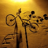 User avatar for Tina Rogers